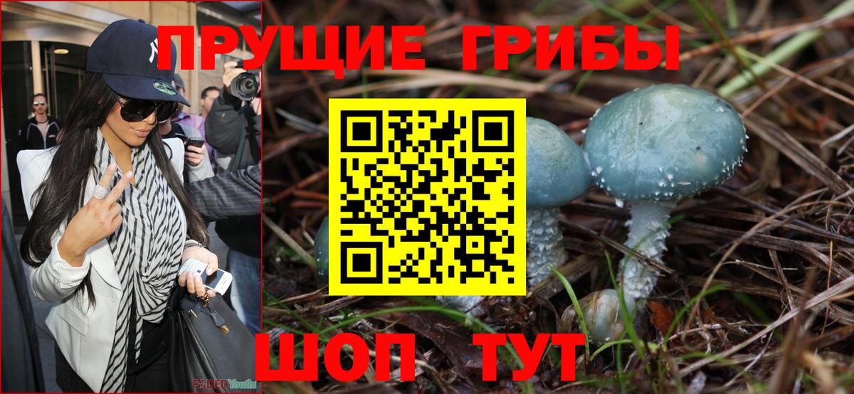 Псилоцибиновые грибы прущие грибы Копейск