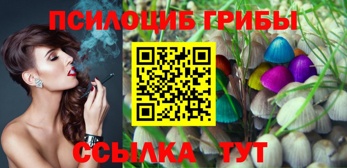 Копейск  Псилоцибиновые грибы MAGIC MUSHROOMS  Вход с VPN 